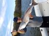 Big Redfish on afternoon fishing trip in Clearwater_ Fl.